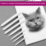 HIFORNY 20 PCS Blending Stumps and Tortillions Set Blending Tools,Kneaded Eraser and Sandpaper Blocks