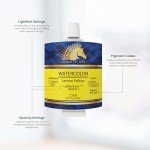 MyArtscape Watercolor Paint Set - 12 x 21ml Tubes - Lightfast - Highly Pigmented - Vibrant Colors - Fade Proof - Painting Kit for Adults & Hobby Painters - Professional Watercolors Supplies