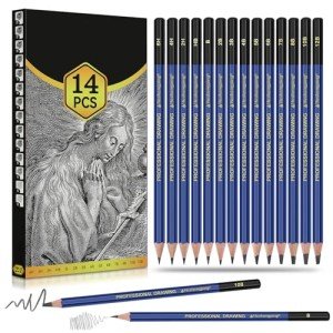 Daerthotk Pencils Drawing Sketching Set 14 pcs Graphite (12B - 6H) Kit Soft Pencils Ideal Gift for Drawing Art, Sketching, Shading, Artist Pencils for Beginners Pro Artists