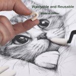 46 PCS Blending Stumps and Tortillions Paper Art Blenders Sketch Drawing Tools with Charcoal Sticks,Sandpaper Sharpeners,Wipe Scrapers,Rub Sponge and Kneaded Eraser for Student Artist Drawing Shading