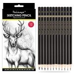 dainayw Professional Drawing Sketching Pencil Set, 12 Pieces Art Pencils 10B, 8B, 6B, 5B, 4B, 3B, 2B, B, HB, 2H, 4H, 6H Graphite Shading Pencils for Beginners & Pro Artists