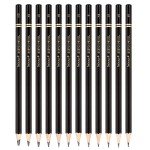 dainayw Professional Drawing Sketching Pencil Set, 12 Pieces Art Pencils 10B, 8B, 6B, 5B, 4B, 3B, 2B, B, HB, 2H, 4H, 6H Graphite Shading Pencils for Beginners & Pro Artists