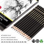 dainayw Professional Drawing Sketching Pencil Set, 12 Pieces Art Pencils 10B, 8B, 6B, 5B, 4B, 3B, 2B, B, HB, 2H, 4H, 6H Graphite Shading Pencils for Beginners & Pro Artists