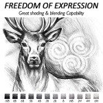 dainayw Professional Drawing Sketching Pencil Set, 12 Pieces Art Pencils 10B, 8B, 6B, 5B, 4B, 3B, 2B, B, HB, 2H, 4H, 6H Graphite Shading Pencils for Beginners & Pro Artists