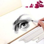 FEBSNOW 12 Pcs Blending Stump and Tortillions, Paper Art Blenders, Art Pencils, Drawing Pencils for Artists Student Sketch Drawing Tools, Drawing Supplies