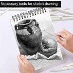 FEBSNOW 12 Pcs Blending Stump and Tortillions, Paper Art Blenders, Art Pencils, Drawing Pencils for Artists Student Sketch Drawing Tools, Drawing Supplies