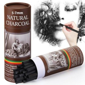 Gueevin Willow Charcoal Sticks, Willow Charcoal, Soft Black Drawing Charcoals for Sketching and Drawing Art Sketch Artists Supplies(50 Pcs,5-7mm)