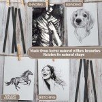Gueevin Willow Charcoal Sticks, Willow Charcoal, Soft Black Drawing Charcoals for Sketching and Drawing Art Sketch Artists Supplies(50 Pcs,5-7mm)