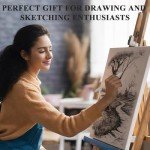 Aenir Blending Stumps for Drawing, Tortillons Blending Stumps Set of 13 Pack with Sandpaper Pencil Sharpener, Paper Art Blenders Tools for Charcoal, Graphite, Drawing Tools for Artists. (13)