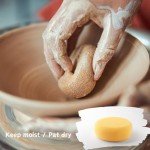 TEMONTIAN Clay Sculpting Tools,Air Dry,Pottery Tools,44 Pcs Double Sided Polymer Clay Tools Kit,Ceramics, Modeling Tools with Carrying Case Bag