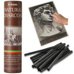 Trzzyan 25 PCS Willow Charcoal Sticks, Ideal for Artists, Beginners, Students, Perfect for Sketching, Drawing, Shading, and Fine Art, 5.7 Inches Long, 2-4,4-5,5-7,7-9 (4-5)