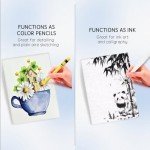 25 Colors Water Soluble Pastels, Watercolor Pastels Set for Beginners and Hobbyists, Includes Sharpener, Palette & Brush for Vibrant Art Creations (Classic)