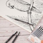 EYEYE Micro Fineliner Pens, Black Drawing Art Pens,12 Archival Pen Waterproof Ink Set Artist Supplies Archival Inking Markers Sketch Outline Pen, Precision Drawing and Sketching Kit