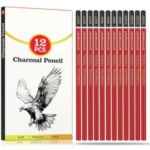 Daerthotk Charcoal Pencils Drawing Set, 12 Pieces Soft, Medium and Hard Black Sketch Charcoal Pencils for Drawing, Sketching, Shading, Blending, Artist Pencils for Beginners & Pro Artists