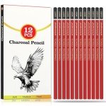 Daerthotk Charcoal Pencils Drawing Set, 12 Pieces Soft, Medium and Hard Black Sketch Charcoal Pencils for Drawing, Sketching, Shading, Blending, Artist Pencils for Beginners & Pro Artists