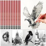 Daerthotk Charcoal Pencils Drawing Set, 12 Pieces Soft, Medium and Hard Black Sketch Charcoal Pencils for Drawing, Sketching, Shading, Blending, Artist Pencils for Beginners & Pro Artists