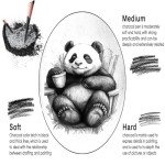 Daerthotk Charcoal Pencils Drawing Set, 12 Pieces Soft, Medium and Hard Black Sketch Charcoal Pencils for Drawing, Sketching, Shading, Blending, Artist Pencils for Beginners & Pro Artists