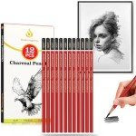 Daerthotk Charcoal Pencils Drawing Set, 12 Pieces Soft, Medium and Hard Black Sketch Charcoal Pencils for Drawing, Sketching, Shading, Blending, Artist Pencils for Beginners & Pro Artists