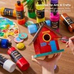 Shuttle Art Acrylic Paint, 12 Colors Acrylic Paint Large Bottle Set, 473ml/16oz Each, Rich Pigments, High Viscosity, Bulk for Artists, Beginners and Kids on Rocks Crafts Canvas Wood