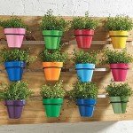 Plaid 50557E Flat Brush, (2-Piece), Gold Taklon