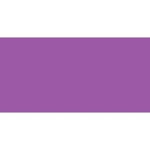posca Acrylic Paint Marker, PC-5M Medium tip, Violet (PX152710000)