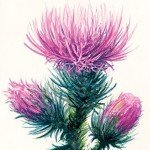 Strathmore 400 Series Watercolor Block, Cold Press, 9"x12" Bound (4 Sides), 15 Sheets/Block, White