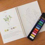 XZGTAND Beginner Watercolor Painting Kit – 12 Colors Paint Set with Brush, Animal-Themed Art Supplies for Adults & Teens (Birds)