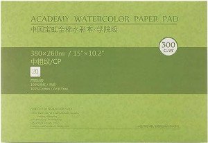 MEEDEN 15×10.2" Cotton Watercolor Paper Block, Textured Surface Watercolor Paper, Cold Press, 140lb/300gsm, 20 Sheets for Painting & Drawing, Wet, Mixed Media
