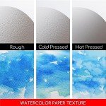 MEEDEN 15×10.2" Cotton Watercolor Paper Block, Textured Surface Watercolor Paper, Cold Press, 140lb/300gsm, 20 Sheets for Painting & Drawing, Wet, Mixed Media