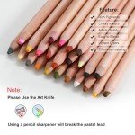 KALOUR Pro Pastel Chalk Colored Pencils,24 Colors portrait set,Color Charcoal Pencils for Drawing Sketching Coloring Shading,Art Supplies for Adults Artists