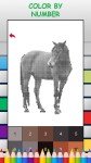Horses Color by Number - FREE Pixel Art Game - Coloring Book Pages - Happy, Creative & Relaxing - Paint & Crayon Palette - Zoom in & Tap to Color - Share Creations with Friends!