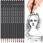 YUANCHENG Professional Drawing Sketching Pencil Set - 12 Pieces,Graphite,(14B - 2H), Graphite Pencils for Drawing, Shading Pencils for Sketching,Artist Pencils for Beginners,Drawing Art