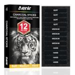 Aenir Compressed Charcoal Sticks Set of 12 – Soft, Medium, Hard Charcoal for Drawing, Sketching & Shading – Art Supplies for Artists, Beginners & Adults