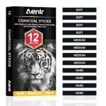 Aenir Compressed Charcoal Sticks Set of 12 – Soft, Medium, Hard Charcoal for Drawing, Sketching & Shading – Art Supplies for Artists, Beginners & Adults