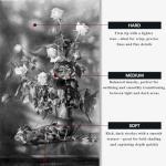 Aenir Compressed Charcoal Sticks Set of 12 – Soft, Medium, Hard Charcoal for Drawing, Sketching & Shading – Art Supplies for Artists, Beginners & Adults