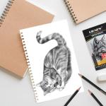 Qionew Professional Sketching Pencil for Drawing,14 Pack, Graphite Pencils, (12B-5H), Art Pencils for Drawing and Shading, Sketching, Ideal for Beginners & Pro Artists