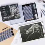 HNIHUY Professional Sketch Pencils Set, 17 Pcs, Graphite Pencils (8B-4H), Erasers and Sharpener, Art Drawing Pencil for Artists Beginner Sketching