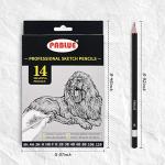 PABLUE Professional Triangular Drawing Sketching Pencil Set,6H,4H,2H,H,HB,F,B,2B,3B,4B,6B,8B,10B,12B Graphite Shading Pencils for Beginners,ProArtists,Drawing,Drafting,Sketching,Shading(14 Pcs)