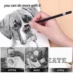 PABLUE Professional Triangular Drawing Sketching Pencil Set,6H,4H,2H,H,HB,F,B,2B,3B,4B,6B,8B,10B,12B Graphite Shading Pencils for Beginners,ProArtists,Drawing,Drafting,Sketching,Shading(14 Pcs)