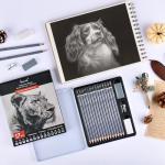 Brusarth Professional Sketch Pencils for Drawing Set - Graphite Pencils (4H-10B), Graphite Sticks, Erasers and Sharpener, Art Pencils for Sketching- Ideal for Artists and Beginners,17Pcs
