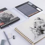 Brusarth Professional Sketch Pencils for Drawing Set - Graphite Pencils (4H-10B), Graphite Sticks, Erasers and Sharpener, Art Pencils for Sketching- Ideal for Artists and Beginners,17Pcs