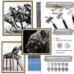 KALOUR 33 Pro Drawing Kit Sketching Pencils Set,Portable Zippered Travel Case-Charcoal Pencils, Sketch Pencils, Charcoal Stick,Sharpener,Eraser.Art Supplies for Artists Beginner Adults Teens