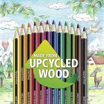 STAEDTLER Colored Pencils Set (24-Pack) for School Supplies - Break-Resistant Lead, Sustainably Made, Vibrant Colors for Artists & Students