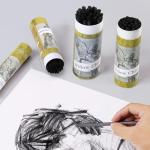 HAUSTGO 100PCS/PACK Willow Charcoal Sticks - Natural Willow Charcoal for Artists, Beginners, or Students of All Skill Levels - Perfect for Drawing and Sketching