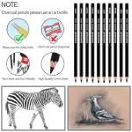 MARTCOLOR Charcoal Pencils for Drawing, 10 Pieces (S-Soft, Ex-Soft, Soft, Medium, & Hard) Black Charcoal Pencils for Sketching, Shading, Blending