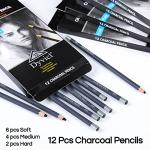 Dyvicl Professional Charcoal Pencils Drawing Set - 12 Pieces Soft Medium and Hard Charcoal Pencils for Drawing, Sketching, Shading, Artist Pencils for Beginners & Artists