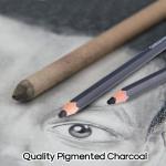 Dyvicl Professional Charcoal Pencils Drawing Set - 12 Pieces Soft Medium and Hard Charcoal Pencils for Drawing, Sketching, Shading, Artist Pencils for Beginners & Artists