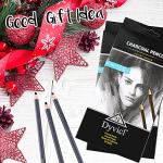 Dyvicl Professional Charcoal Pencils Drawing Set - 12 Pieces Soft Medium and Hard Charcoal Pencils for Drawing, Sketching, Shading, Artist Pencils for Beginners & Artists