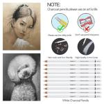 PANDAFLY White Charcoal Pencils Set, Professional 14 Piece Charcoal Pencils for Drawing, Sketching, Shading, Blending, White Chalk Pencils for Kid, Beginners & Pro Artists