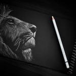 PANDAFLY White Charcoal Pencils Set, Professional 14 Piece Charcoal Pencils for Drawing, Sketching, Shading, Blending, White Chalk Pencils for Kid, Beginners & Pro Artists